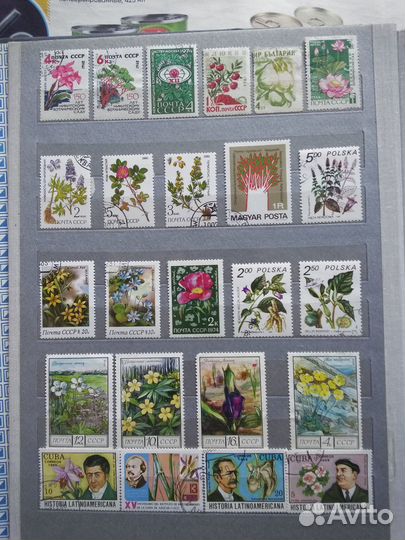 Флора. Почтовые марки