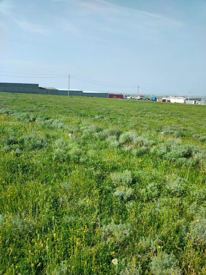 Участок 8 сот. (ИЖС)