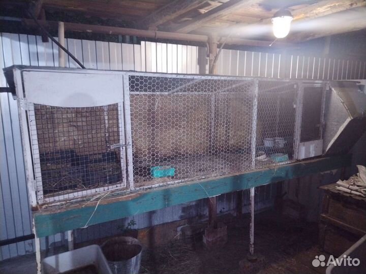 Клетка для кролика