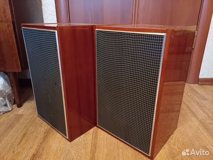 Акустика 10 мас 1м на кобальте