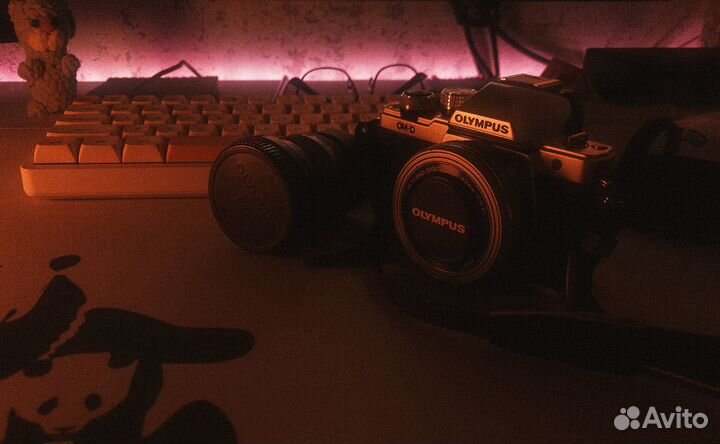 Olympus OM-D E-M10 mark II