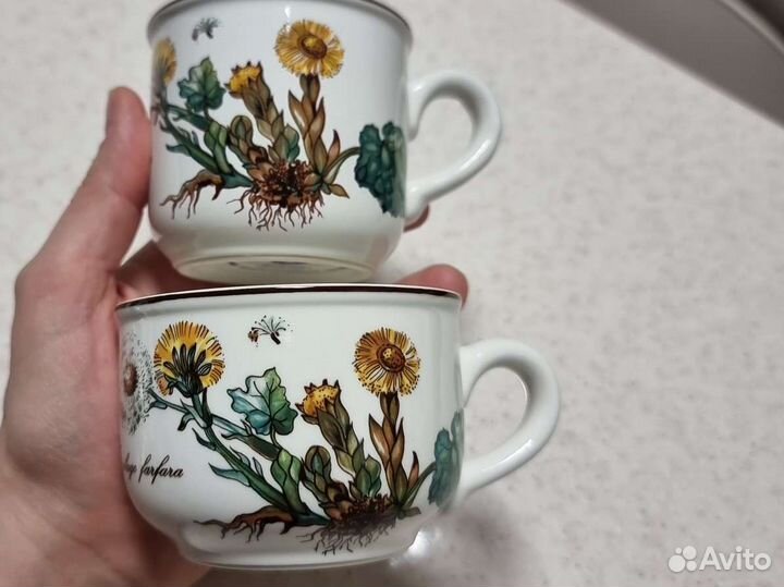 Villeroy boch botanica