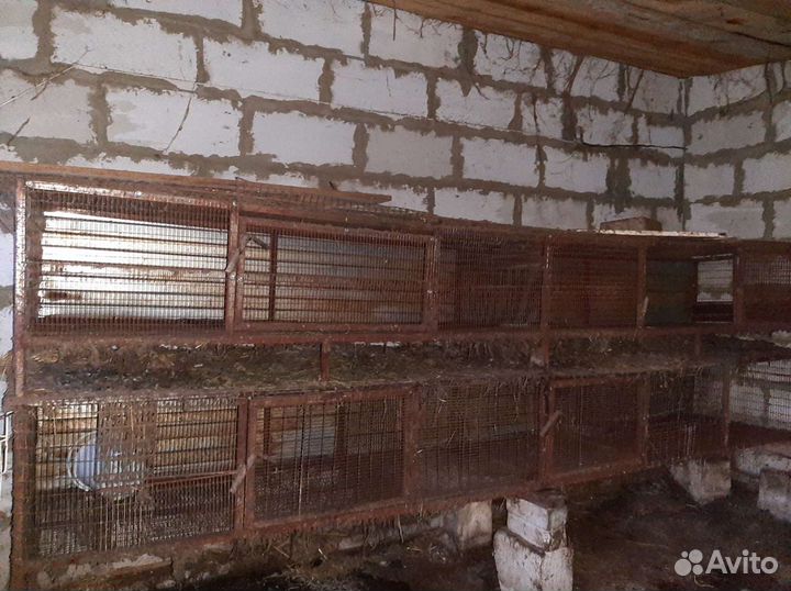 Клетки металлические