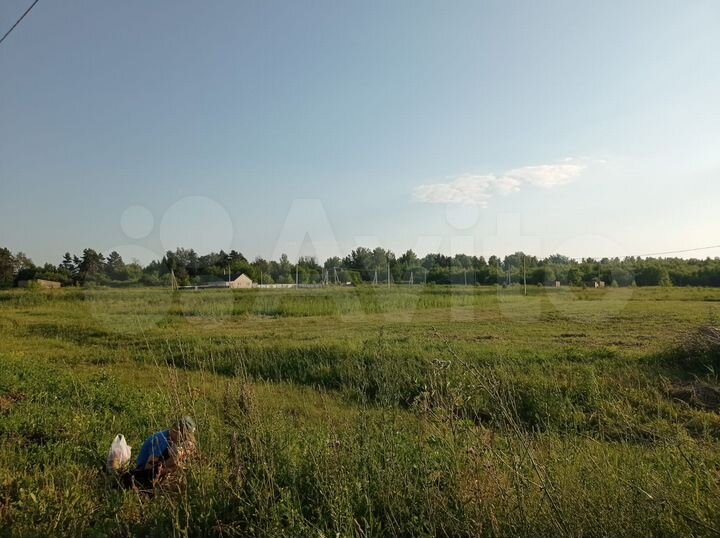 Участок 10 сот. (ИЖС)