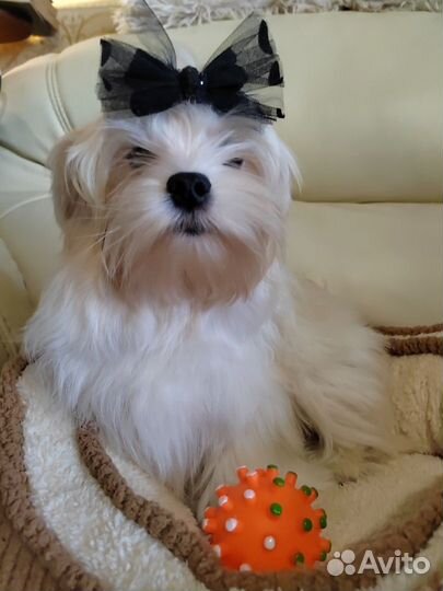 Красивый мальчик