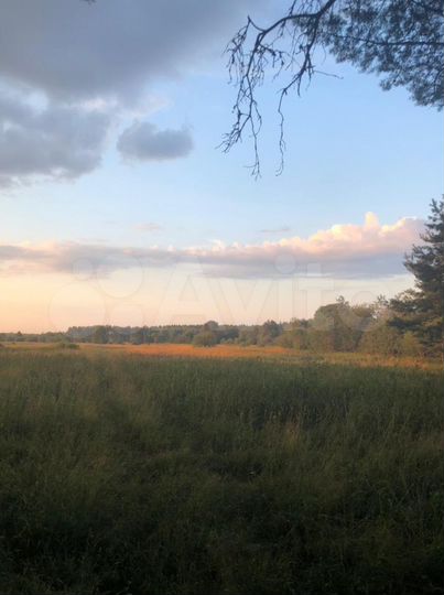 Участок 1,5 га (ИЖС)