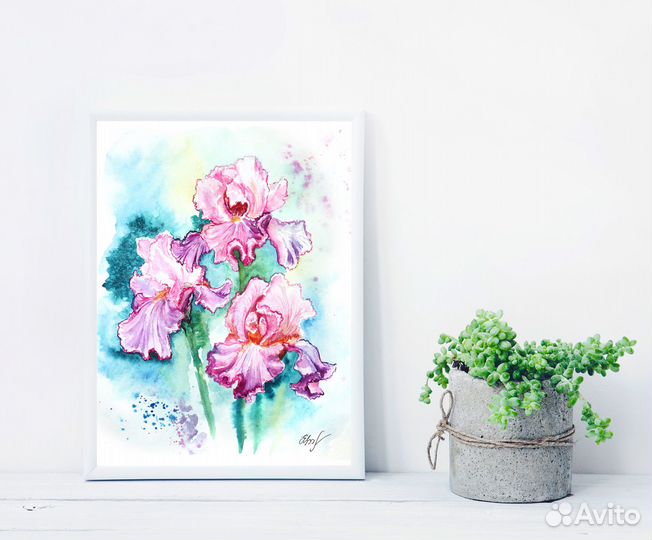 Картина акварелью Ирисы