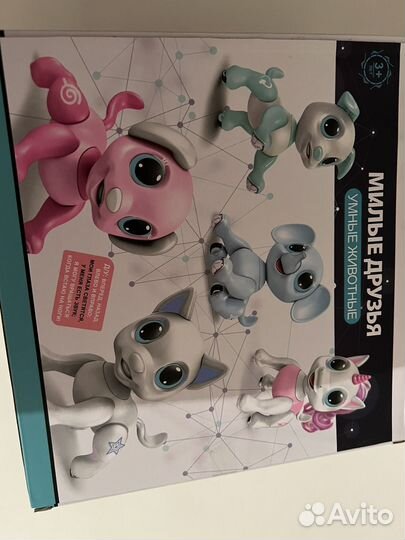 Кот с пультом