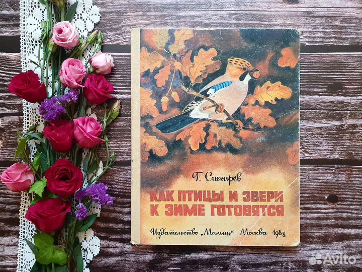 Снегирев. Как птицы к зиме готовятся. 1988 г