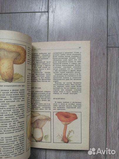 Д. П. Зуев. Дары русского леса