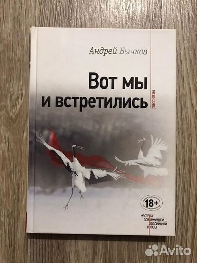 Бычков, А.С. Вот мы и встретились