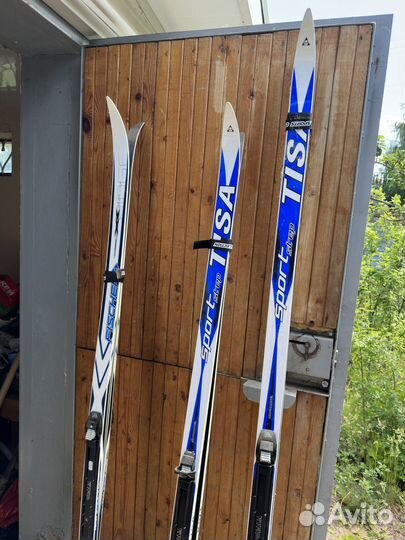 Лыжи беговые fisher и tisa