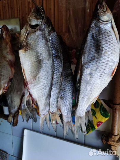 Сушёная рыба