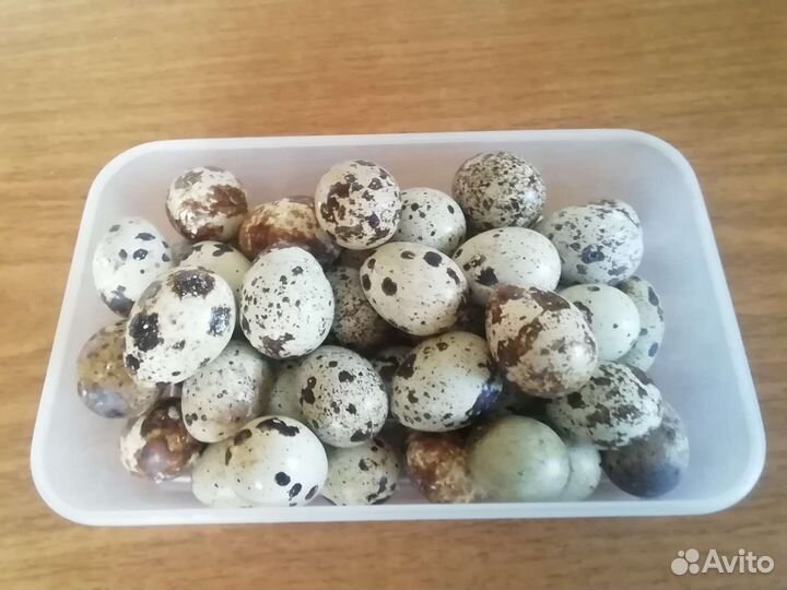 Яйцо куриное, перепелиное из деревни, мясо кур