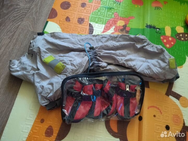 Одежда для средних собак