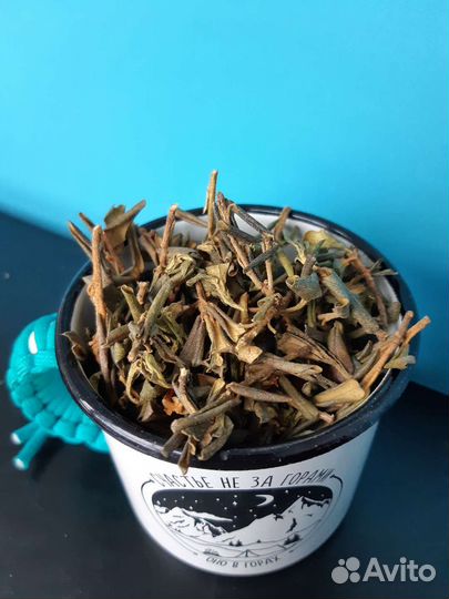 Саган дайля