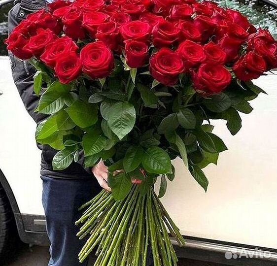 Букет роз 101 роза 51 роза