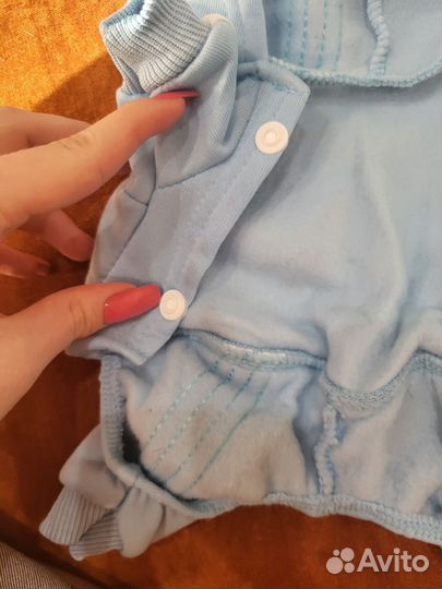 Костюмчик для собачки