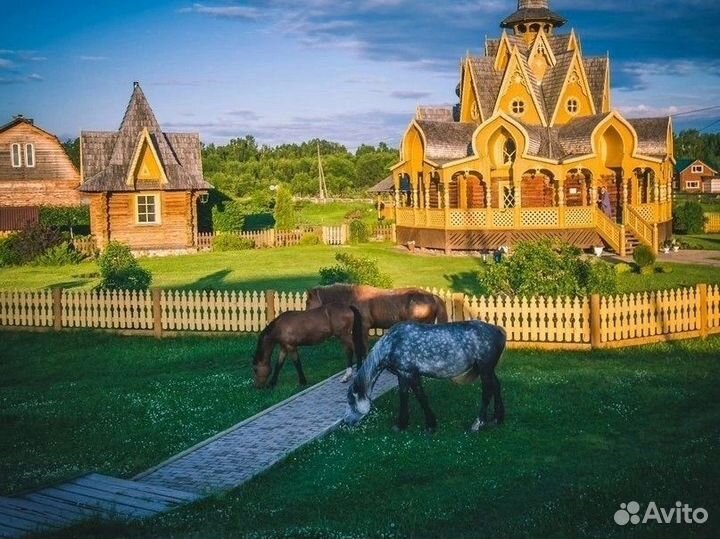 Экскурсия в город Солнца