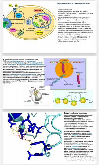 Презентации в Power Point на заказ