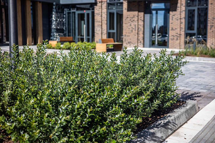 1-к. квартира, 44,5 м², 5/18 эт.