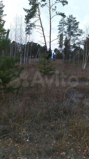 Участок 12 сот. (ИЖС)