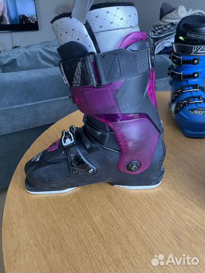 Горнолыжные ботинки dalbello