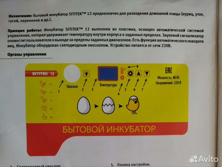 Автоматический инкубатор