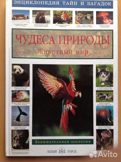 Чудеса природы, животный мир