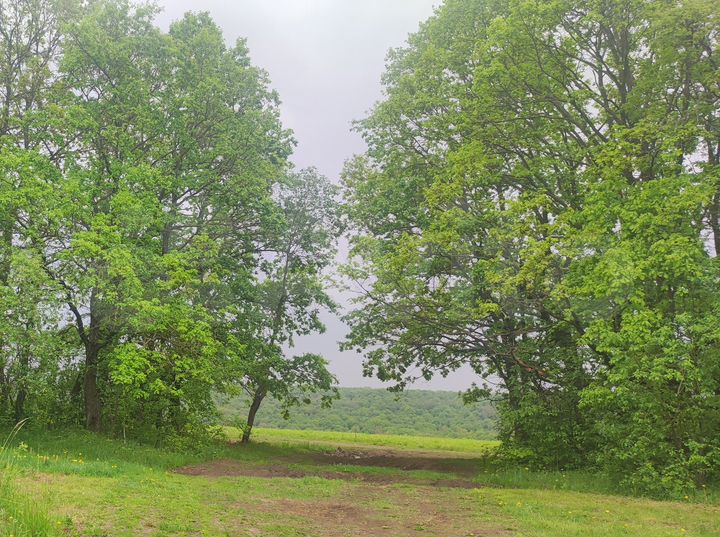 Участок 8,9 сот. (ИЖС)