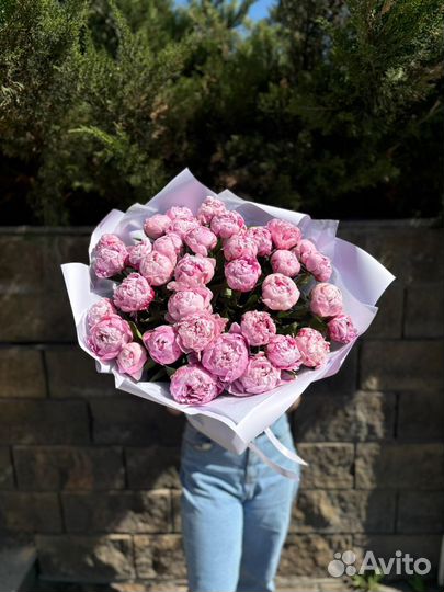 Пион сара бернар