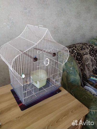 Клетка для среднего попугая