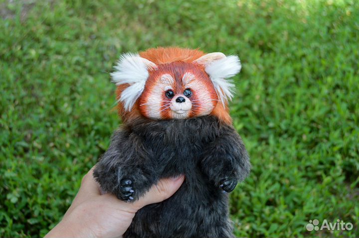 Красная панда