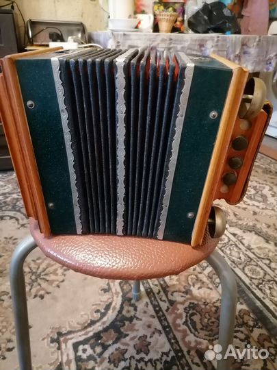 Саратовская гармонь