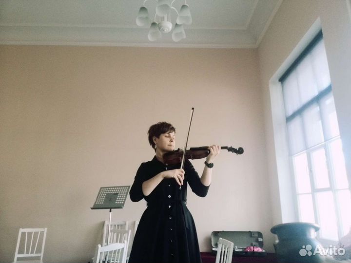 Репетитор по скрипке, ладожская, красногвардейский