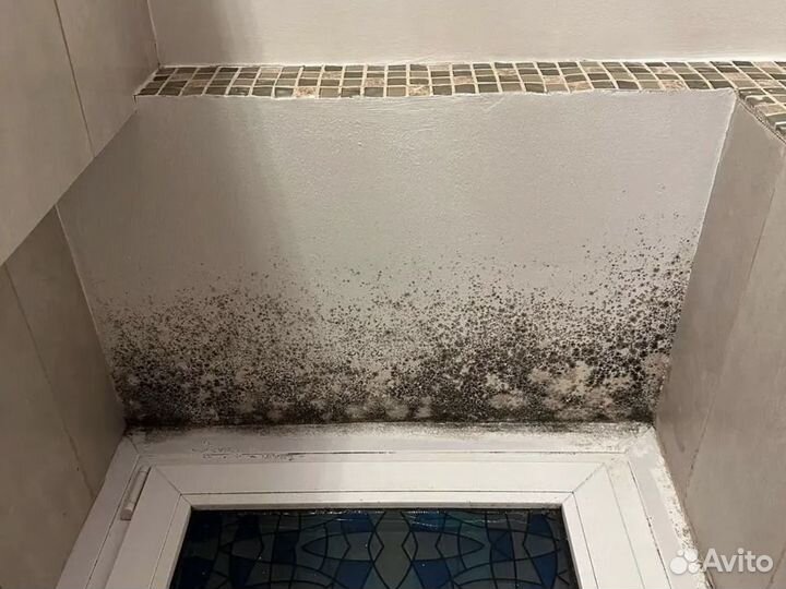 Дезинсекция / Уничтожение тараканов / Насекомых