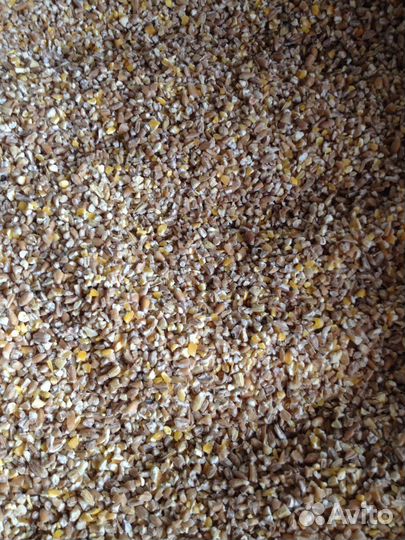 Кормовые смеси для с/х животных