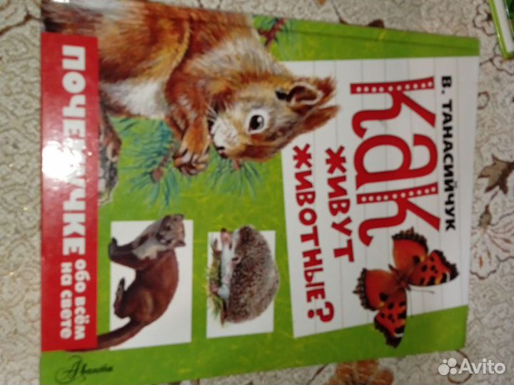 Книга как живут животные