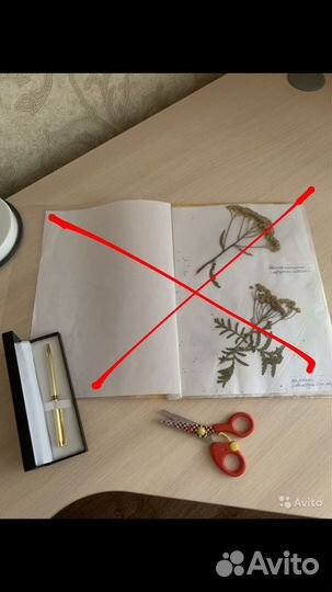 Канцелярия