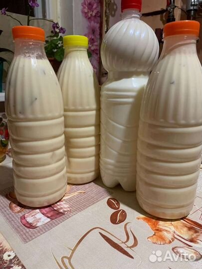 Домашние сыры и молочные продукты