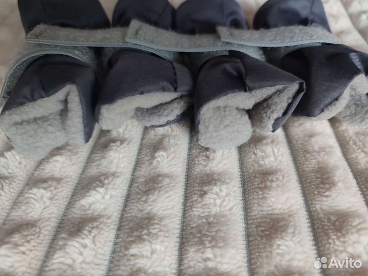 Ботинки для маленьких собак