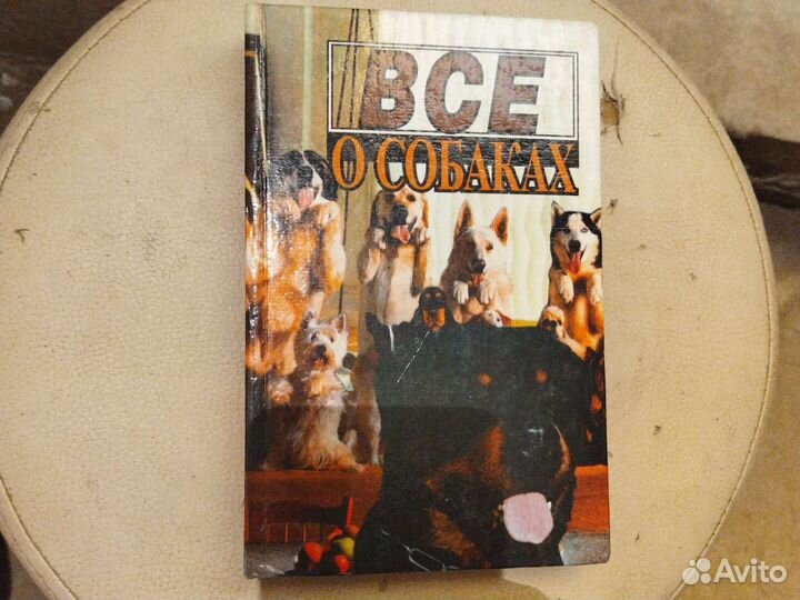 Все о собаках