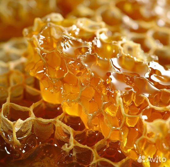 Натуральный мед (опт.)