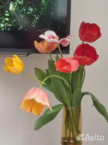 Лечебный педикюр, подолог с выездом на дом