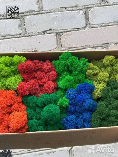 Стабилизированный ягель от производителя, 500г