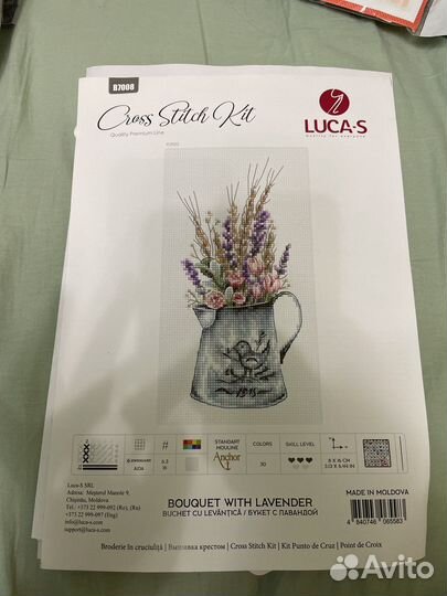 Luca s Алиса М.П.Студия