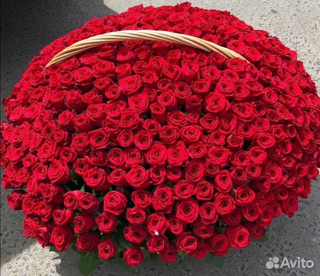 Цветы Розы 25 51 101 Розы