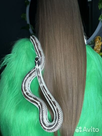 Кератиновое выпрямление Ботокс волос Нанопластика