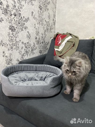 Лежанка для кота/собаки серый