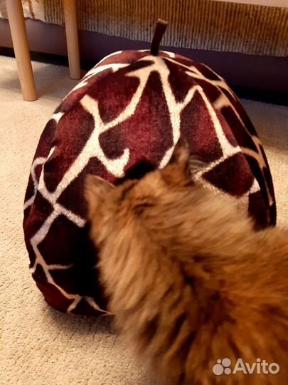 Домик для кошки